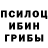 Галлюциногенные грибы прущие грибы Daud M