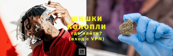 индика Покровск