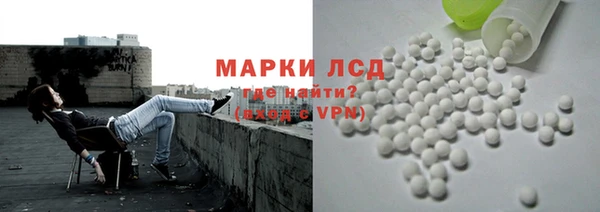 эйфоретик Покачи
