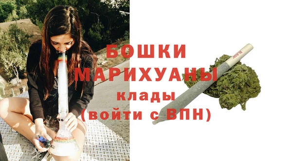 эйфоретик Покачи