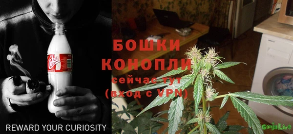 индика Покровск