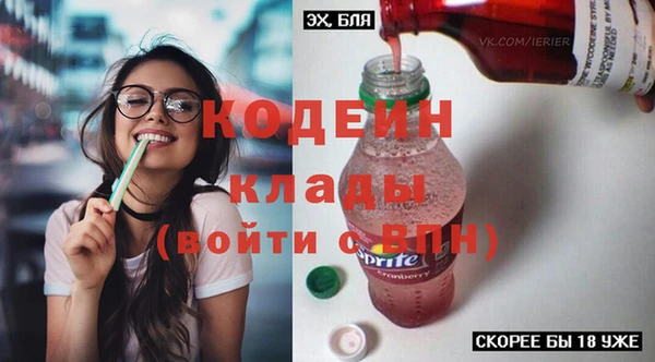 эйфоретик Покачи