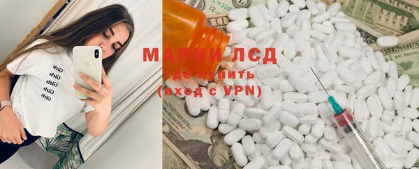 индика Покровск