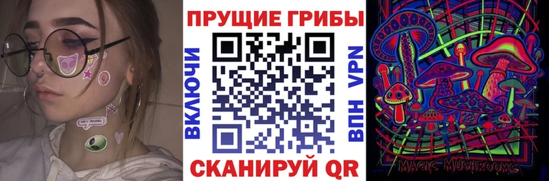 shop как зайти  Северская  Псилоцибиновые грибы Psilocybine cubensis 